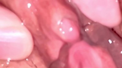 fledgling rosy Pussy: 20 days after losing her virginity.